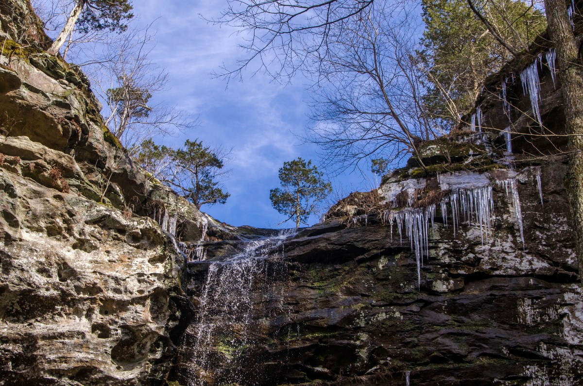 frozen fall