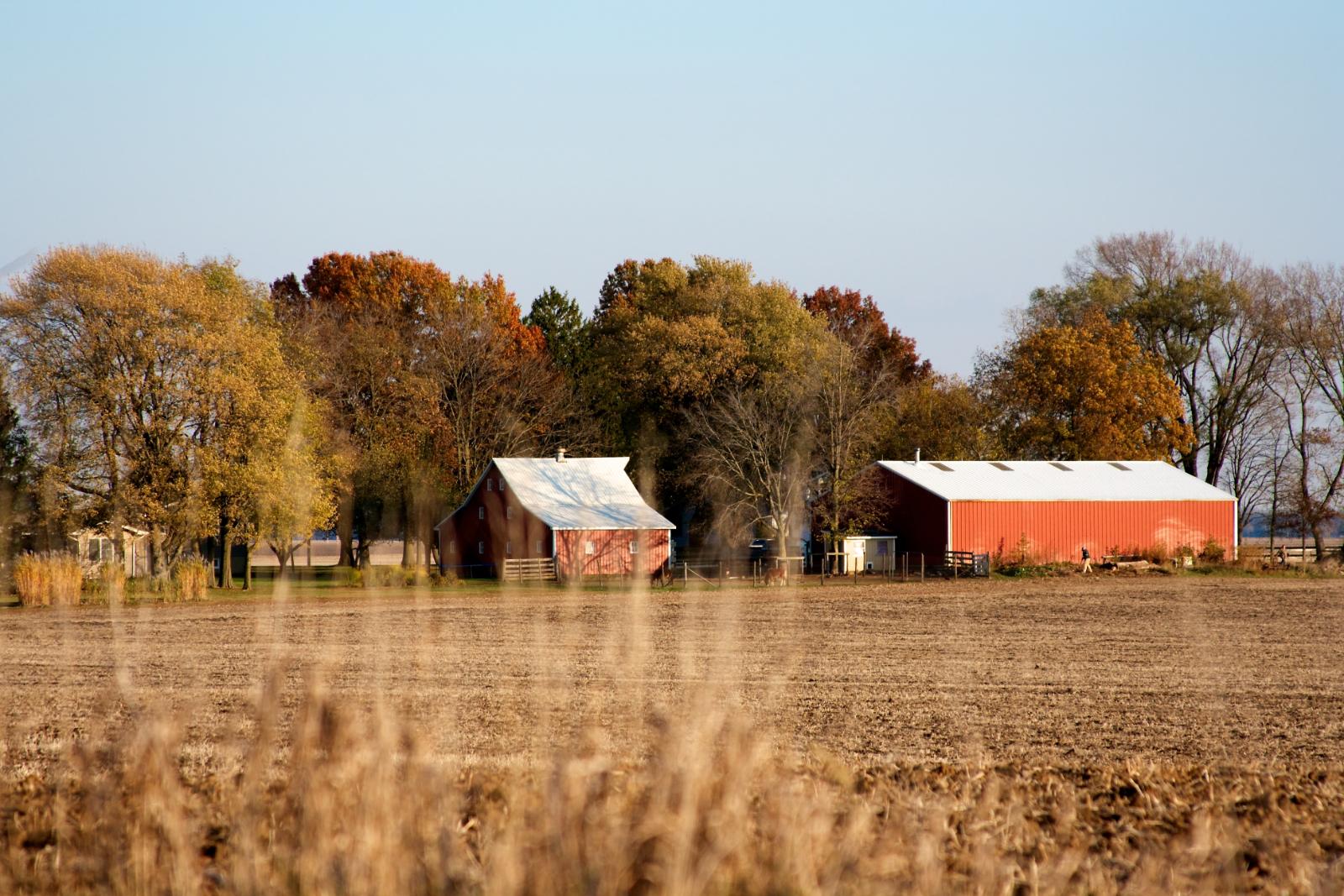 Buying land for sale in Jefferson County, IL: What to know before you make an offer